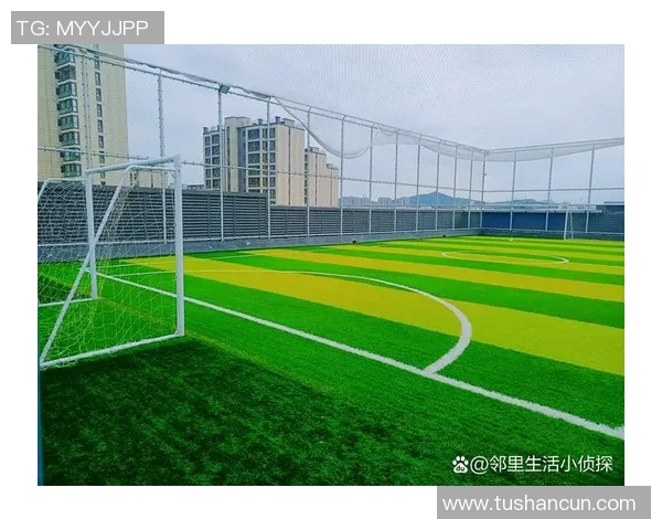 足球瞬间的魅力与激情如何在绿茵场上绽放出无尽的精彩与感动